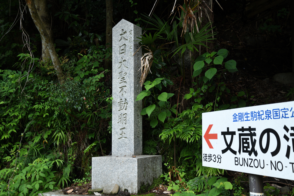 かつらぎ町東谷　文蔵の滝_