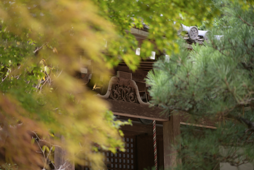 河内長野　延命寺