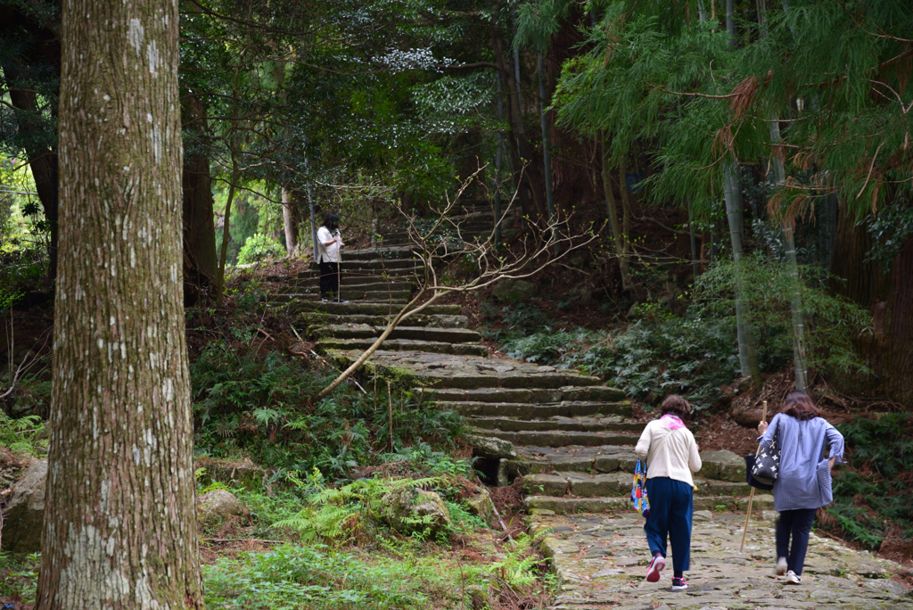 熊野古道　大門坂