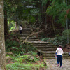 熊野古道　大門坂