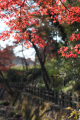 和歌山県岩出市　根来寺