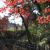 和歌山県岩出市　根来寺