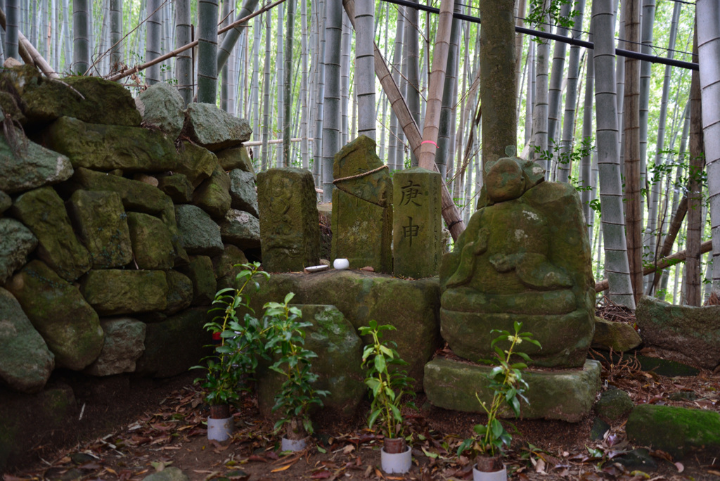 熊野古道　大門坂