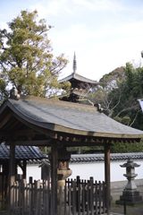 奈良　葛城　当麻寺__03