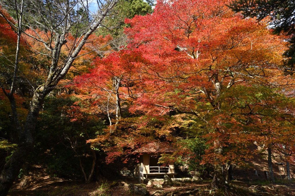 吉野山　西行庵