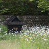 美山かやぶきの里__12