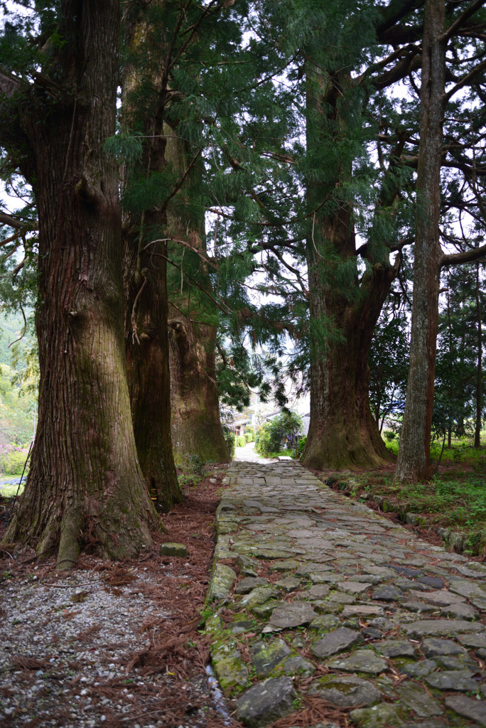 熊野古道　大門坂