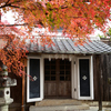 東近江　太郎坊宮__03