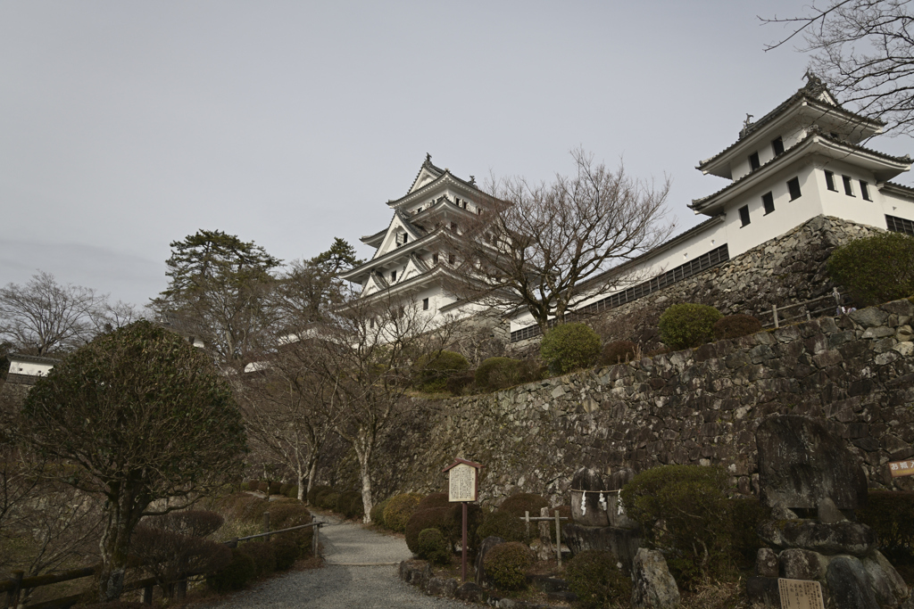 郡上八幡城_