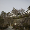 郡上八幡城_