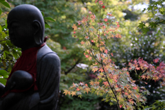 和泉市　松尾寺