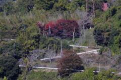 京都府　笠置　朝　つづら折り