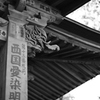 槇尾散策__05