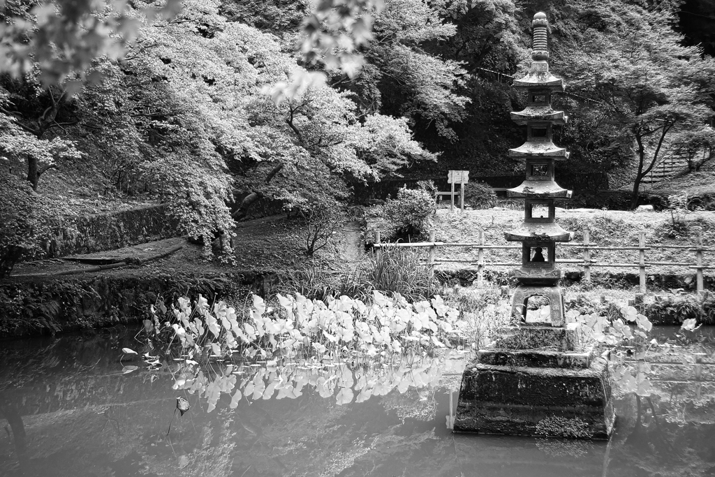 河内長野　延命寺