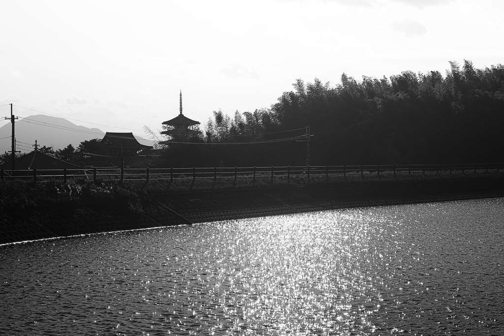 奈良　斑鳩　法隆寺とため池