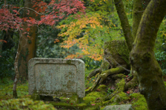 苔とモミジと石碑