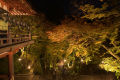 奈良　桜井市　談山神社　ライトアップ__09