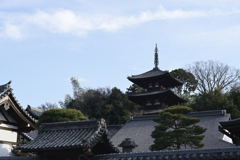 奈良　葛城　当麻寺__01