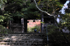 和泉市　松尾寺