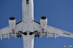 バックは青空が一番