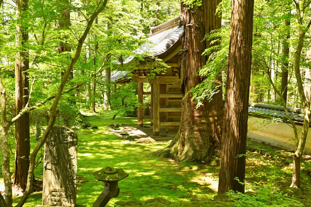 貞祥寺3