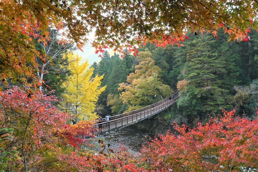 秋川渓谷