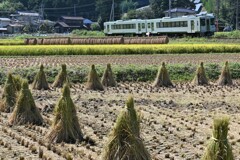 収穫期の八高線