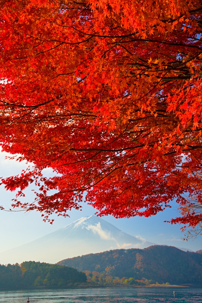 河口湖からの富士山