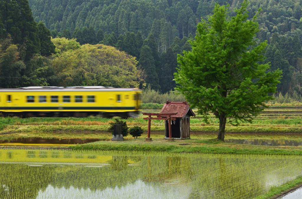 いすみ鉄道＆祠