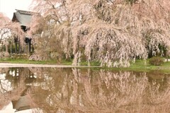 安養寺