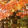 能仁寺２