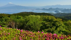 だるま山高原展望台