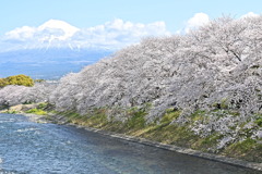 龍厳淵１