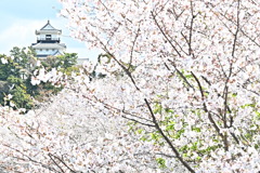 掛川城１