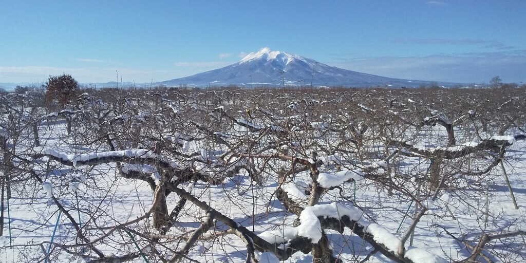 岩木山
