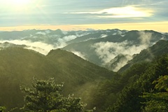 高野龍神スカイラインから