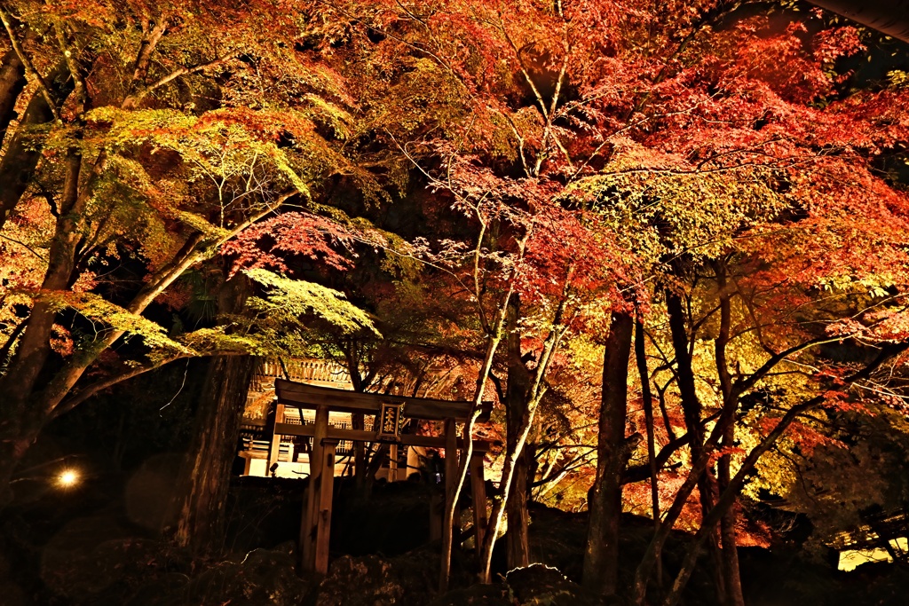 石山寺
