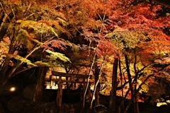 石山寺