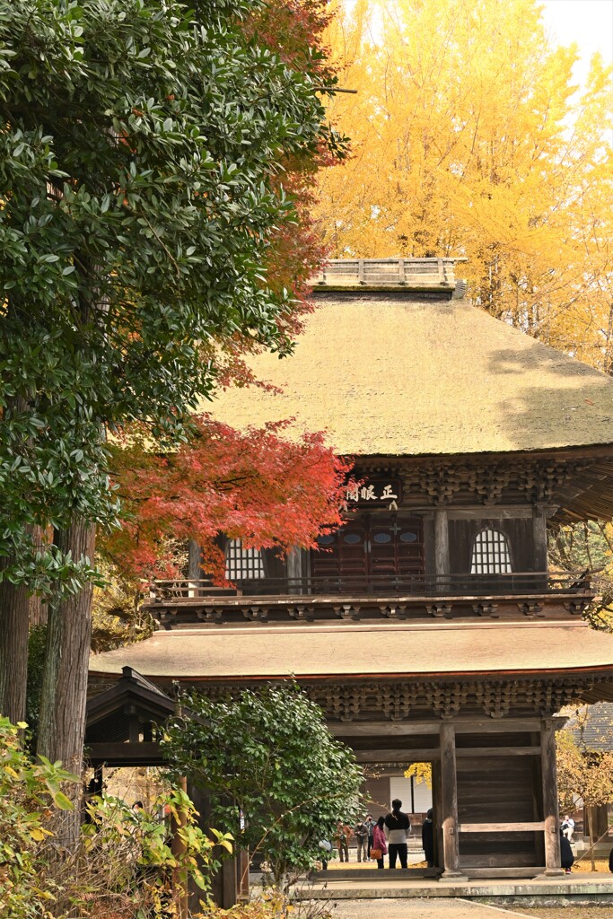 広徳寺2