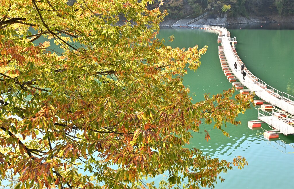 奥多摩湖2