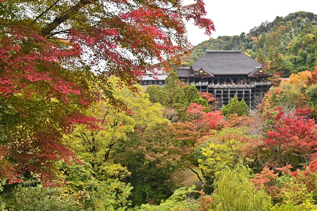 清水寺１