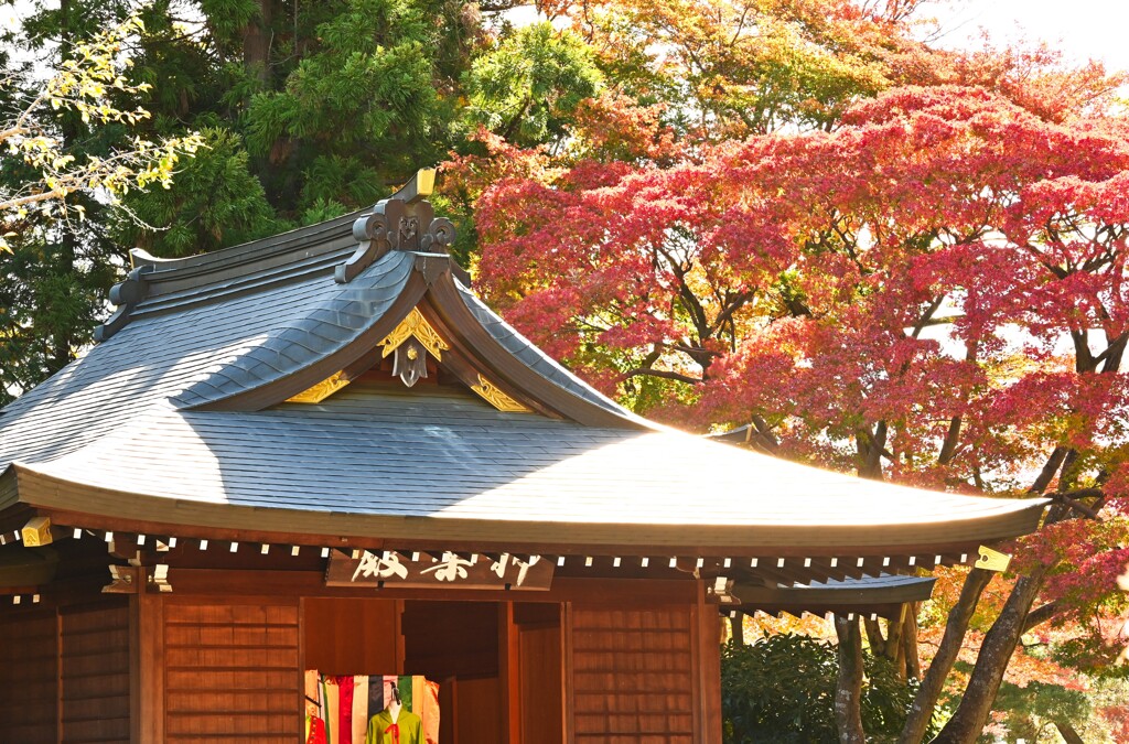 高麗神社2
