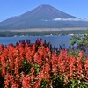 山中湖と富士山