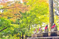 常楽寺