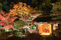 隋心院２