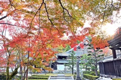 西教寺2