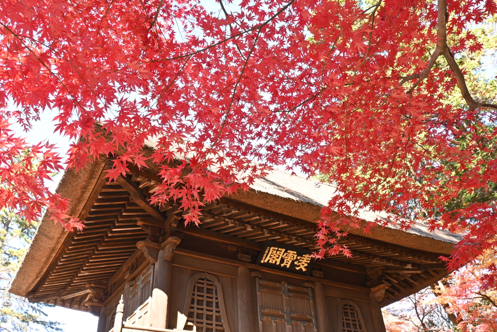 平林寺３