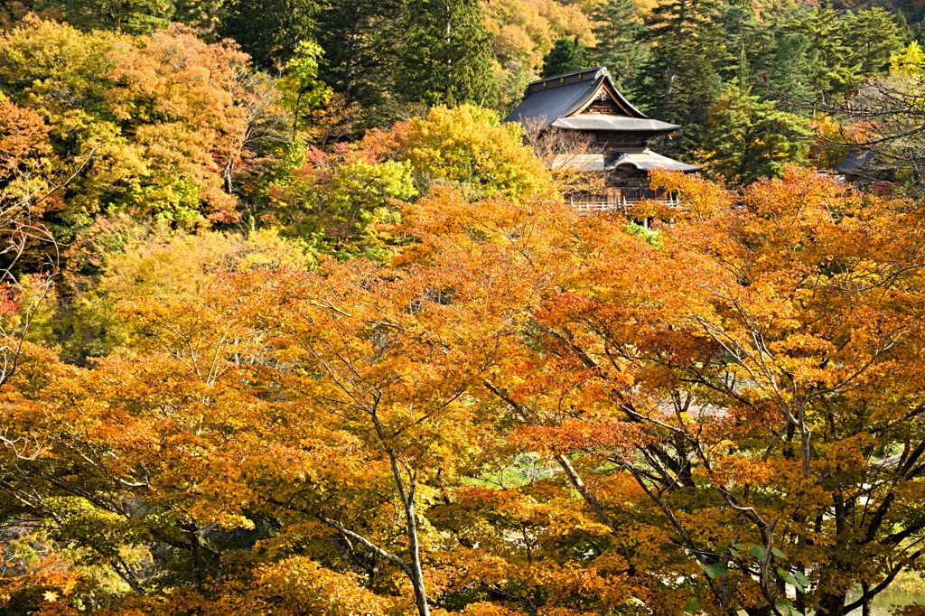 柳津虚空蔵尊 3