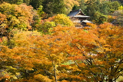 柳津虚空蔵尊 3