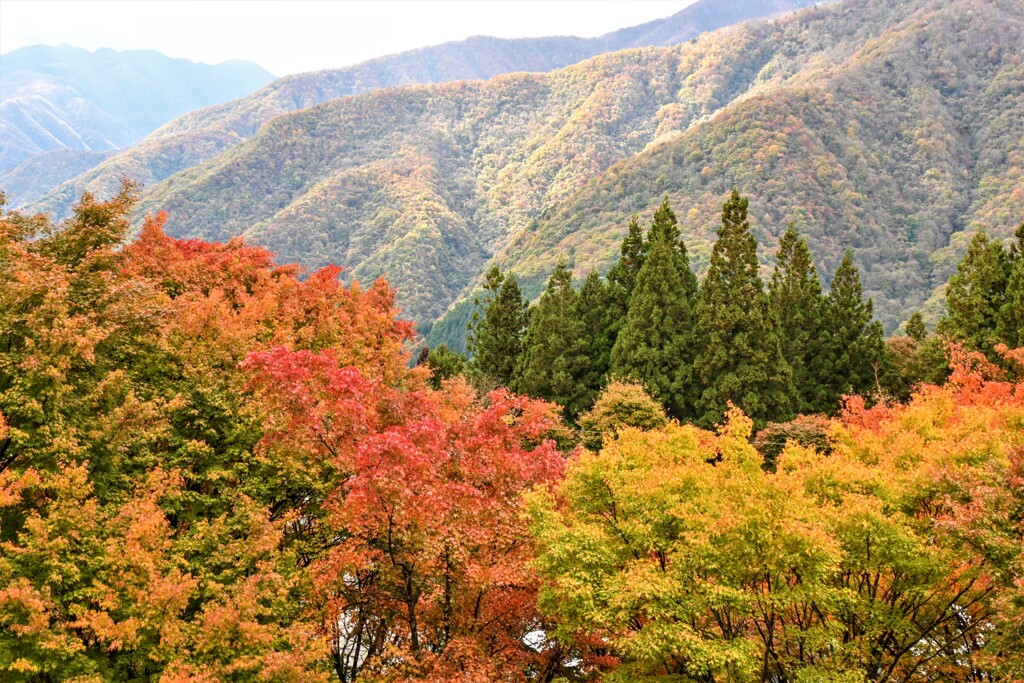 三峯神社4